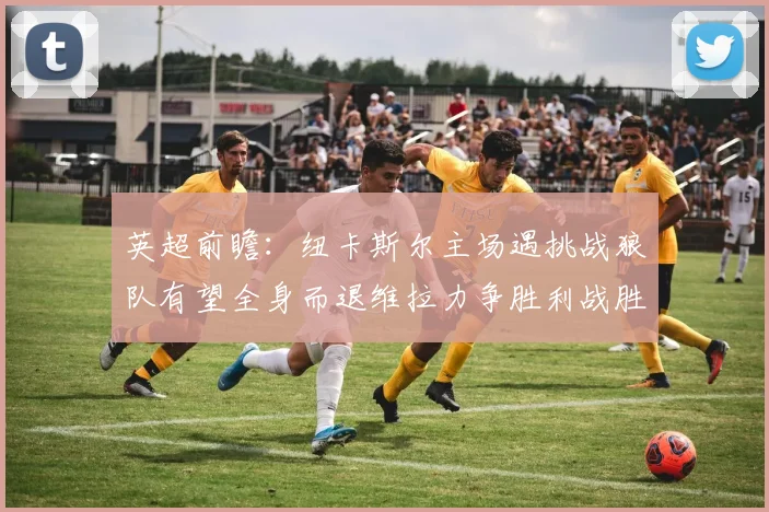 英超前瞻：纽卡斯尔主场遇挑战狼队有望全身而退维拉力争胜利战胜埃弗顿